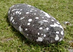 One of tghe stones at Ballintaggart.