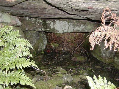 The interior of 'Tober Gráinne'.