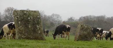 Ballyhalwick stones