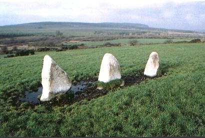 Stone-row, Ballynoony West