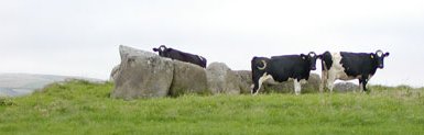 Wedge-tomb at Breastagh.