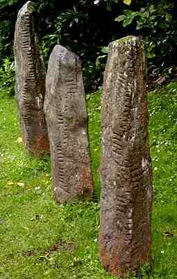 http://www.irishmegaliths.org.uk/burnham.jpg