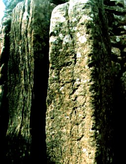 Meander or horseshoe engravings.