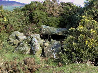 The North end of Clonlum court-tomb