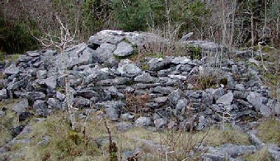 photo of Cregdotia wedge-tomb by Ian Thompson