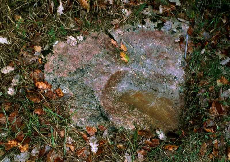 clicquez pour voir les Dolmens