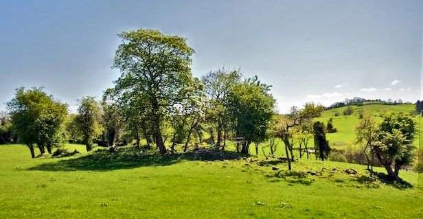 Killina court tomb