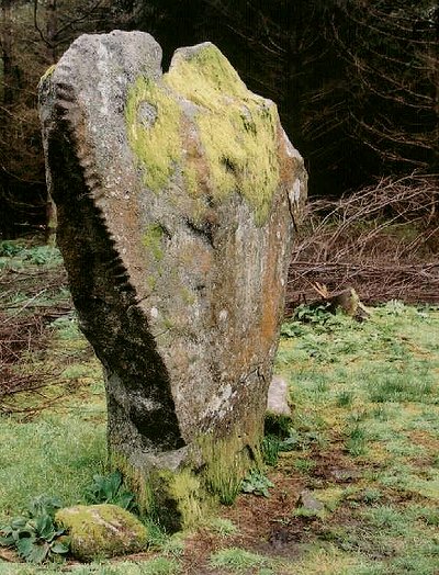 Knickeen ogam-stone.