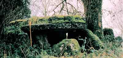 Newgrove wedge-tomb