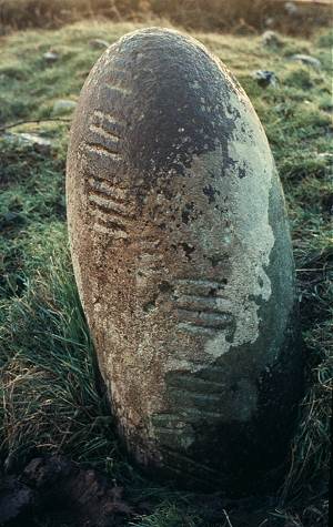 http://www.irishmegaliths.org.uk/oglug.jpg