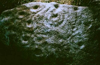 Tinnacarrig petroglyphs.