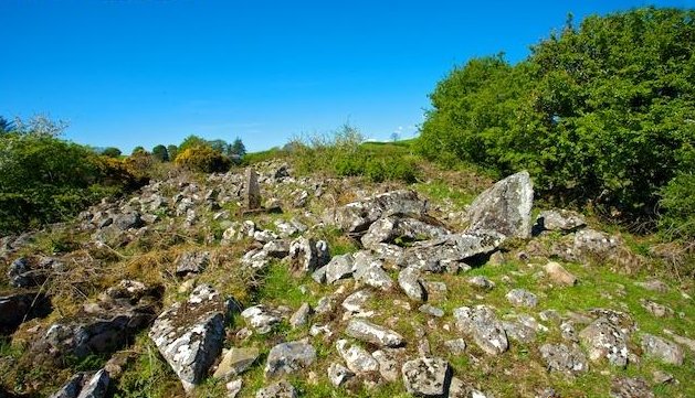 Tiredigan court-tomb