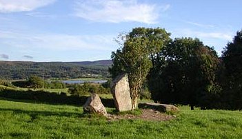 Turnaspidogy stones.