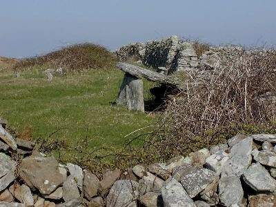 Box-type Wedge-tomb, Wardhouse.