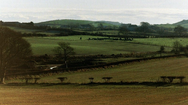 Viewed from the Erenagh Road.