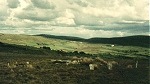 Clogherny, county Tyrone