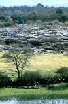 Crannagh,  county Galway