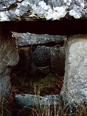 photo of interior by Ian Thompson