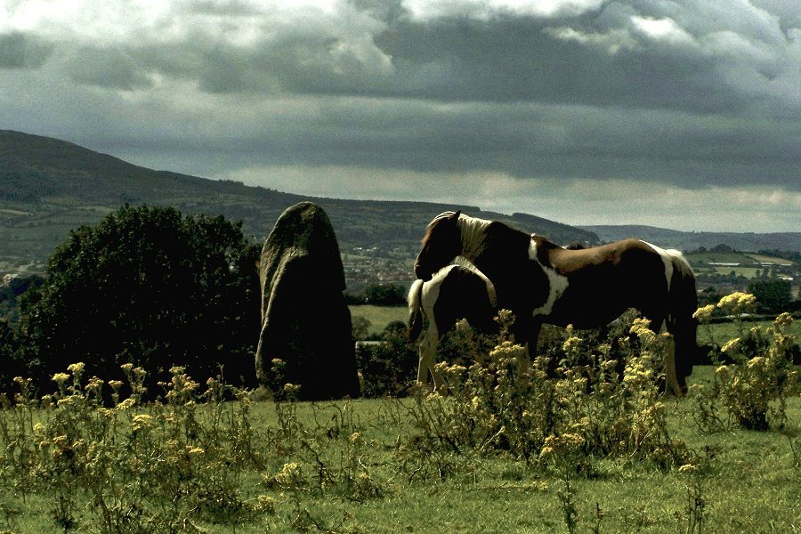 Crobane, county Down